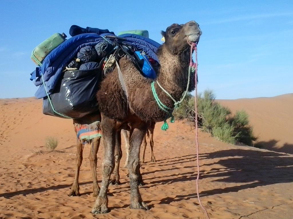Hotel Bivouac Erg Znaigui Merzouga Exterior foto
